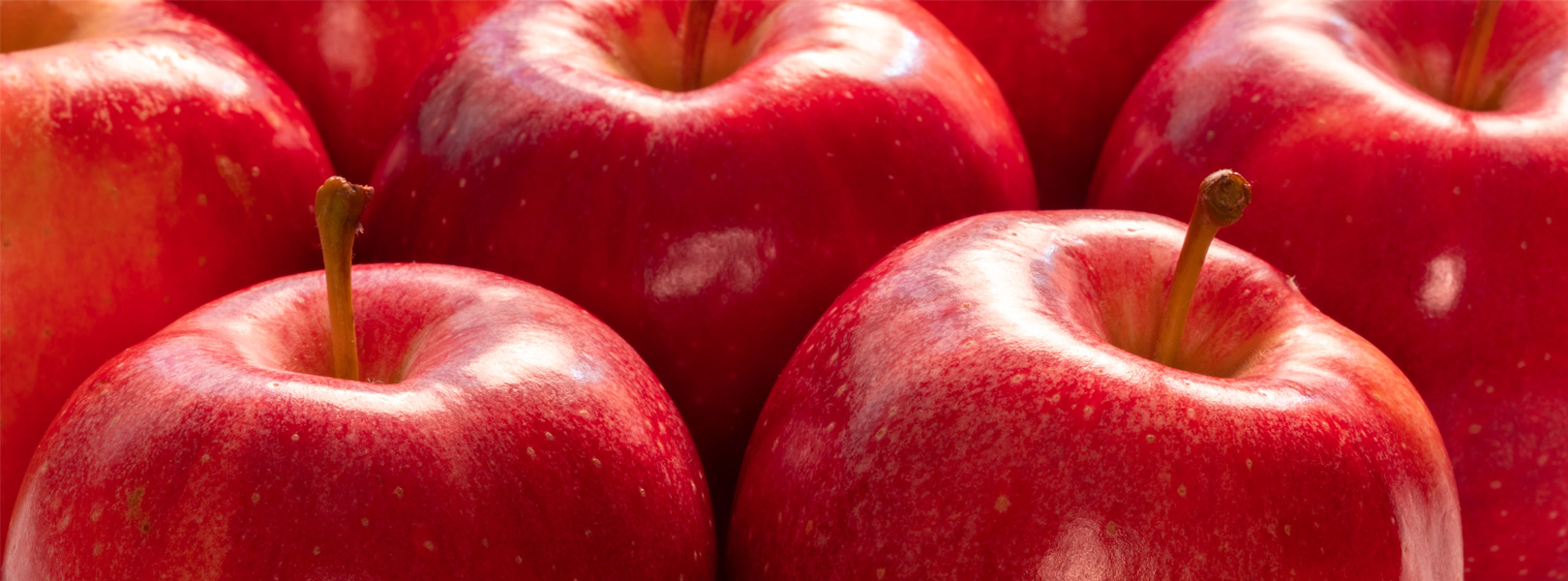Bright red apples