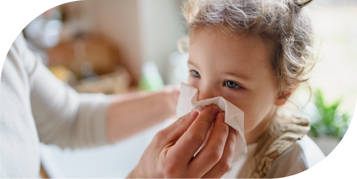 Young child getting help blowing nose