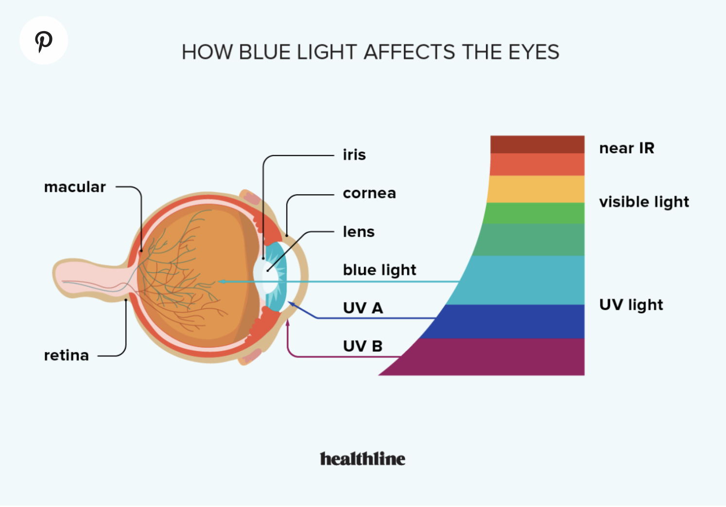 Illustration of how blue light affects the eyes