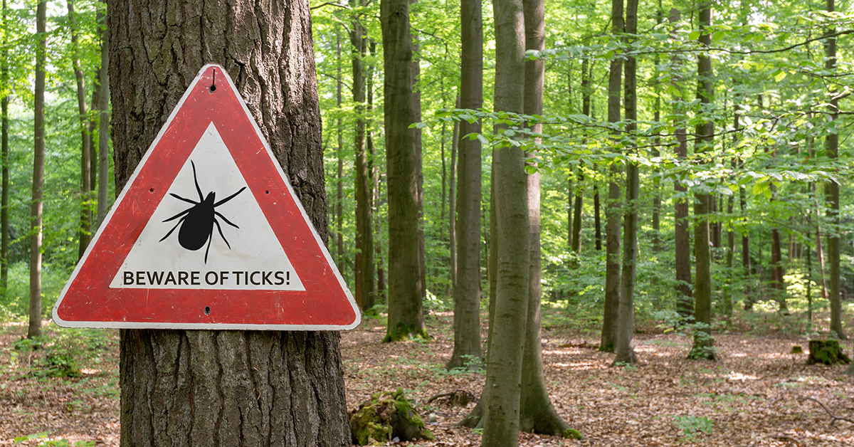 Beware of ticks sign posted on a tree in the woods