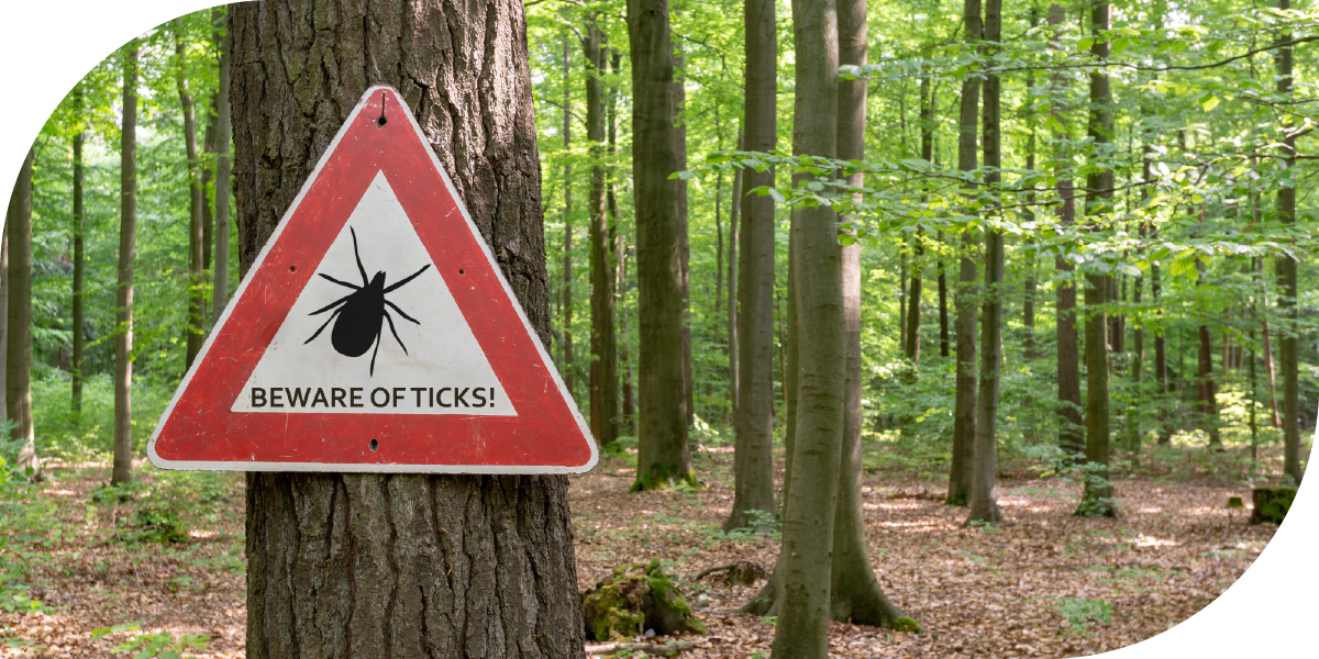 Beware of ticks sign posted on a tree in the woods