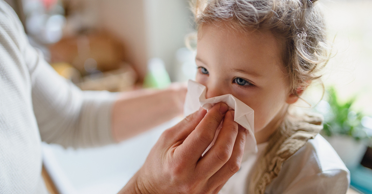 Young child getting help blowing nose