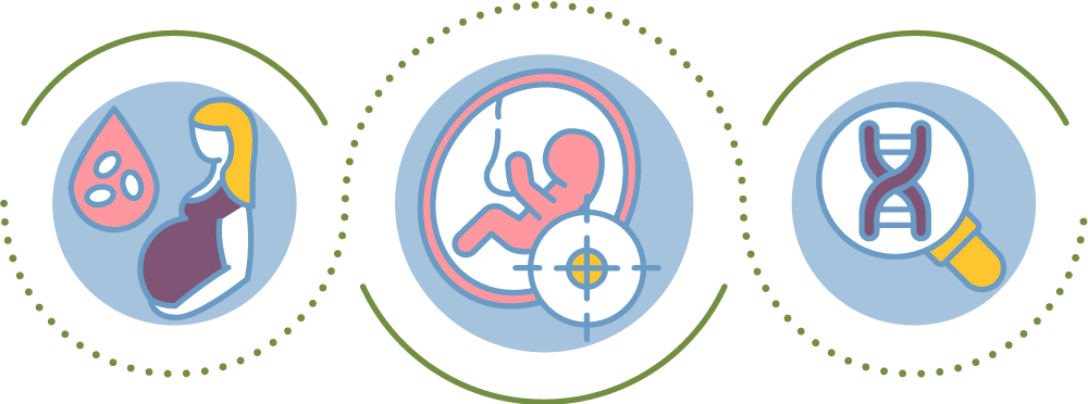 Graphic illustrating types of prenatal tests