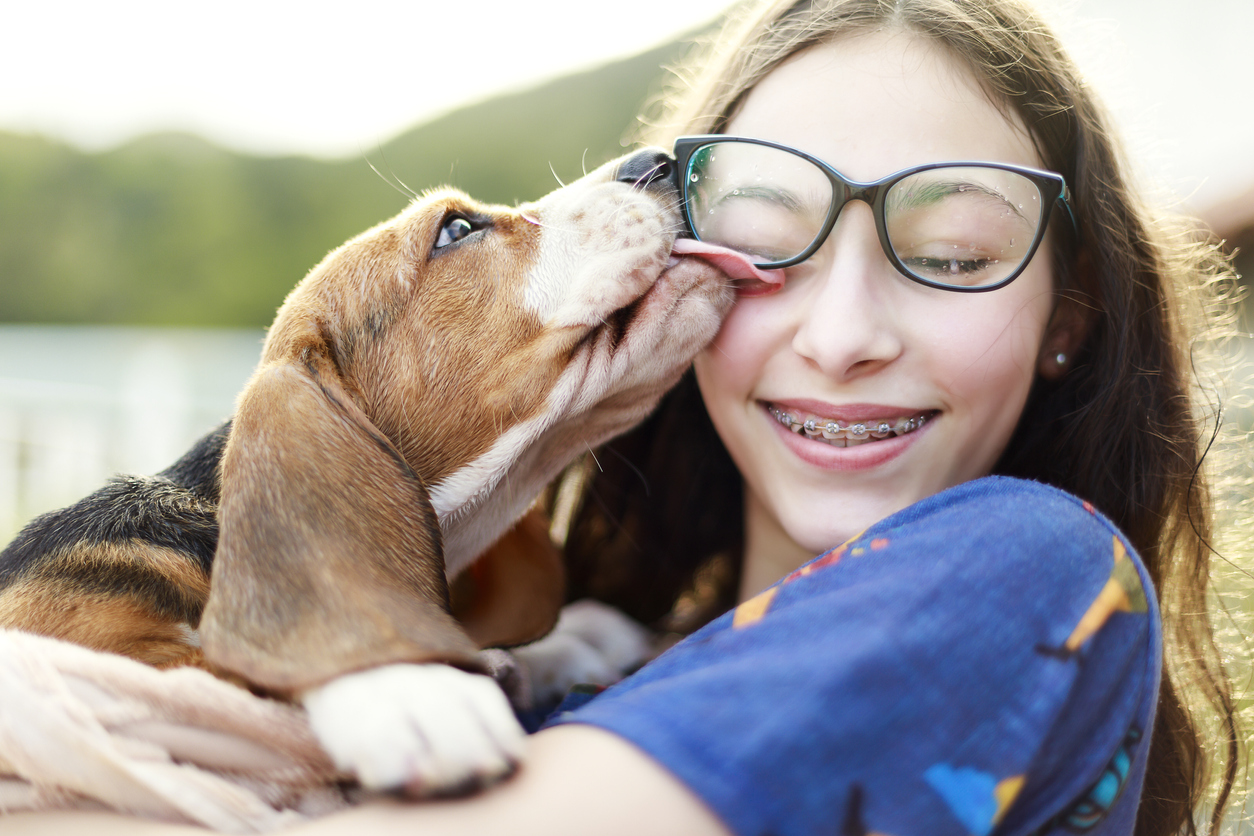 Dog kissing young girl wearing glasses, almost knocking them off