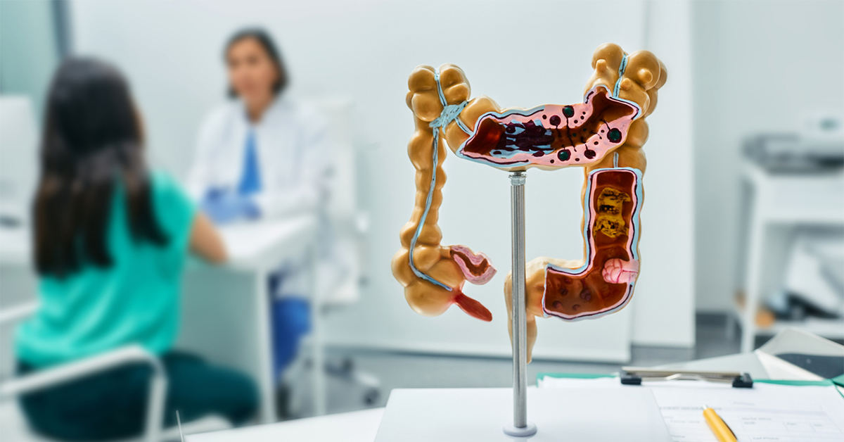 Anatomical model of the colon with doctor and patient in the background