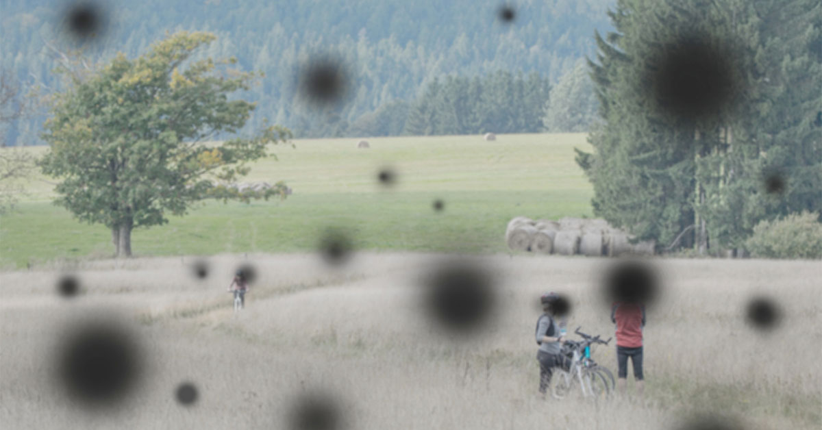 A landscape scene with dark spots demonstrating how diabetic retinopathy impacts vision