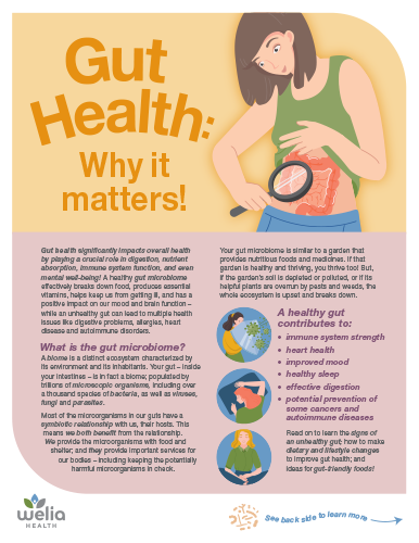 Downloadable PDF: Gut Health: Why It Matters!