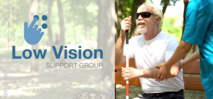 Low Vision Support Group logo and image