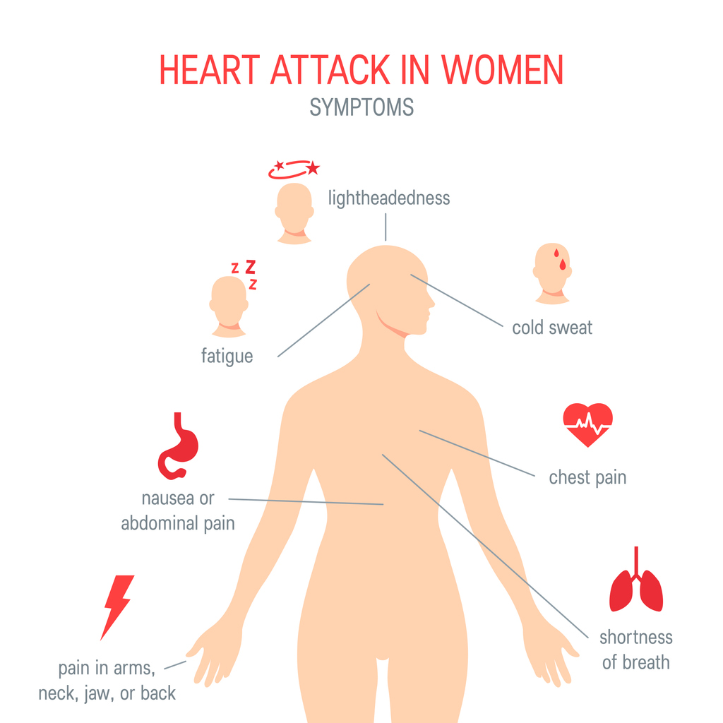 Medical diagram outlining heart attack symptoms in women: pain in arms, neck, jaw, or back; nausea or abdominal pain; fatigue; lighheadedness; cold sweat; chest pain; shortness of breath